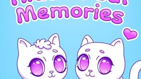 Hidden Cat Memories