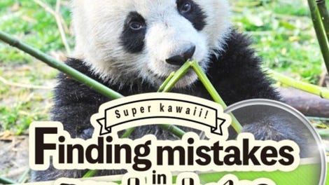 Super Kawaii! Finding Mistakes in Panda Photos