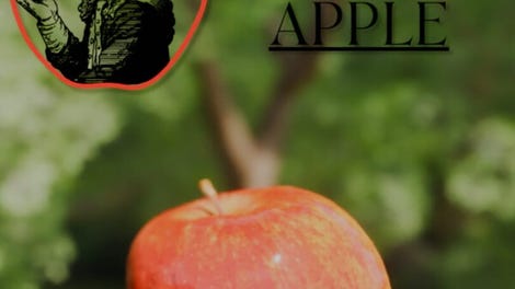 Gravity's Apple
