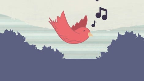 A Bird's Tale