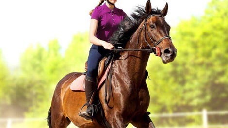 My Little Riding Champion