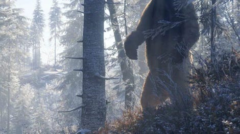 TheHunter: Call of the Wild - Medved-Taiga