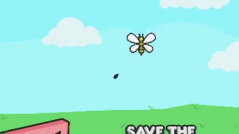 Save the Watermelon