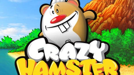 Crazy Hamster