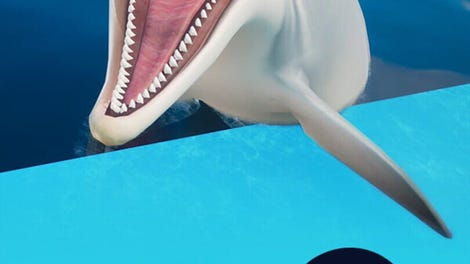 Dolphin Trainer VR