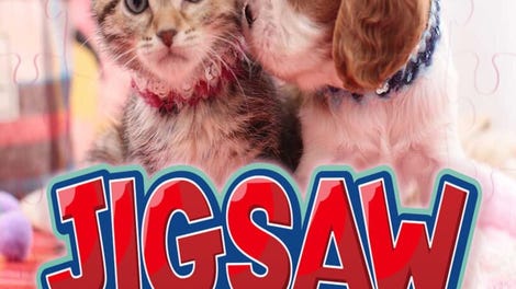 Jigsaw Masterpieces