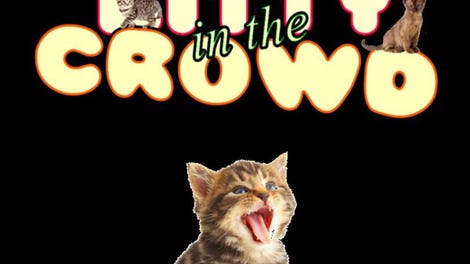 Kitty in the Crowd