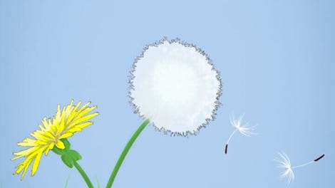 32, Dandelion Drift