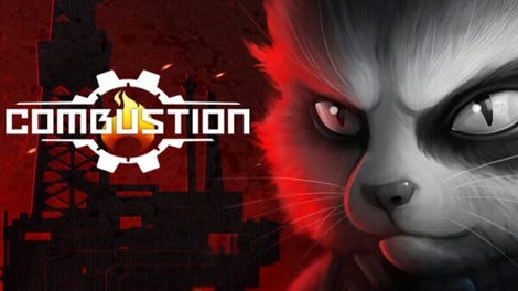 Combustion