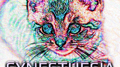 Synesthesia