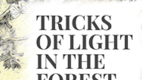 Tricks of Light in the Forest