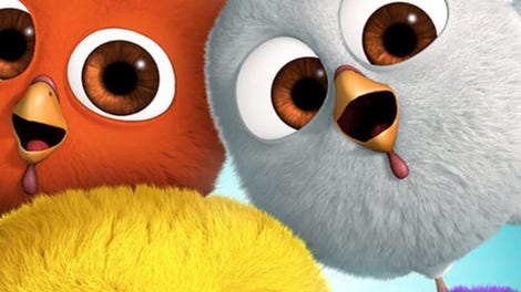 Free Birds: Baby Turkey Trouble
