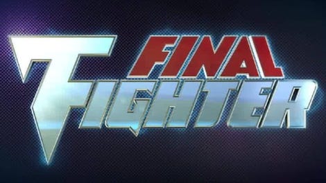 Final Fighter - Kotaku