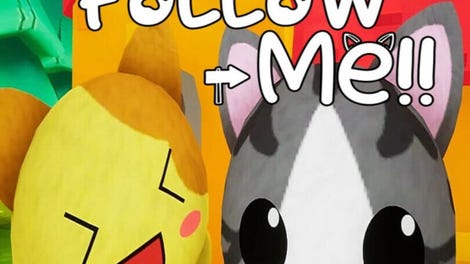 Cat Follow Me
