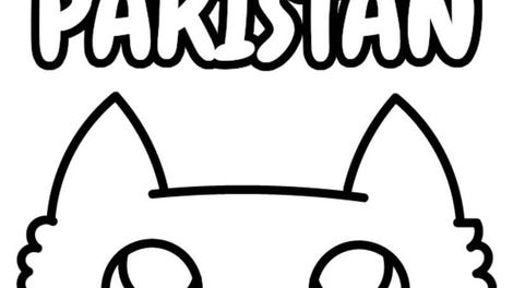 100 Cats Pakistan