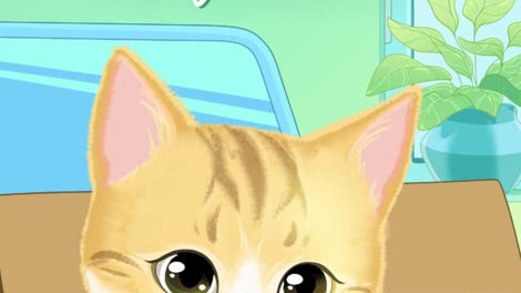 Lots of Cats in Every Moment