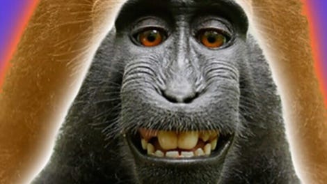 Monkey Game