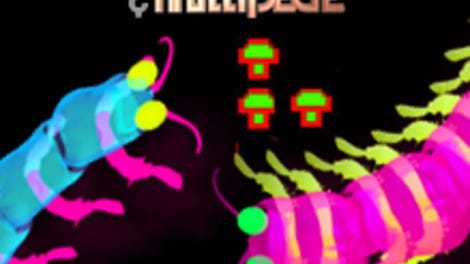 Centipede & Millipede