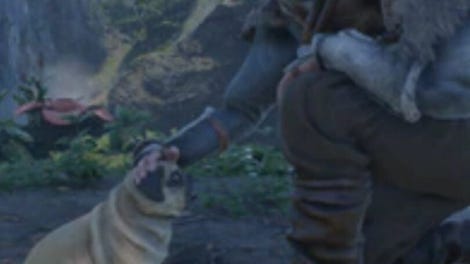Animal Rescuer