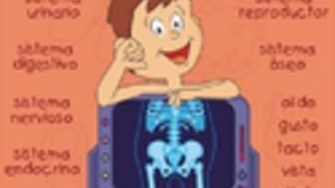 El cuerpo humano con Pipo