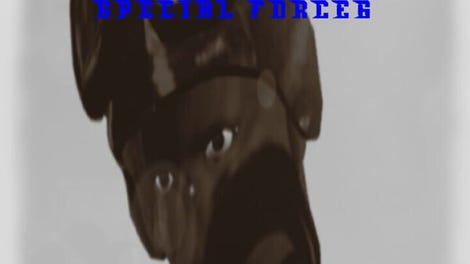 Liberation Special Forces