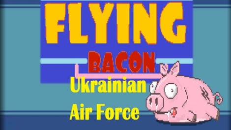 Flying Bacon: Ukrainian Air Force