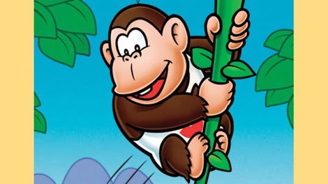 Donkey Kong Jr.