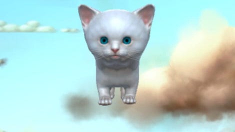 Cute Kitty