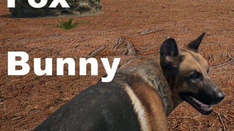 Dog Fox Bunny