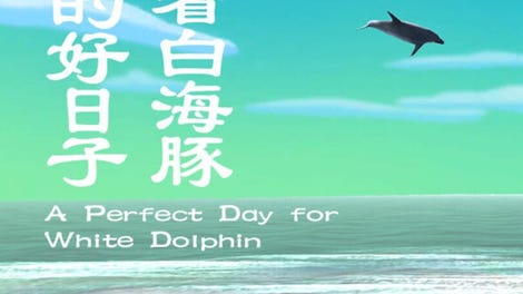 A Perfect Day for White Dolphin