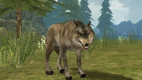 Wild Wolf Simulator 3D