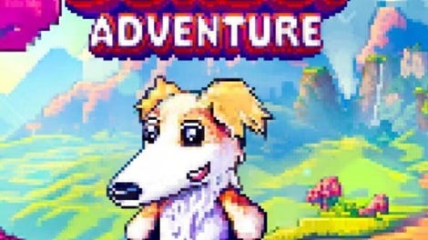 Borzoi Adventure