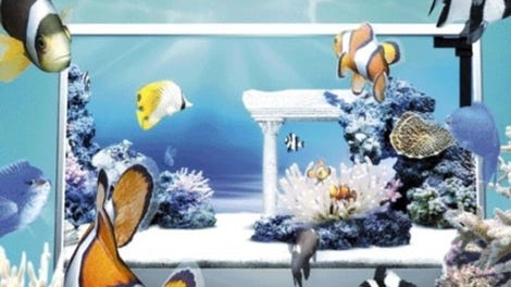 AquaZone: Life Simulator