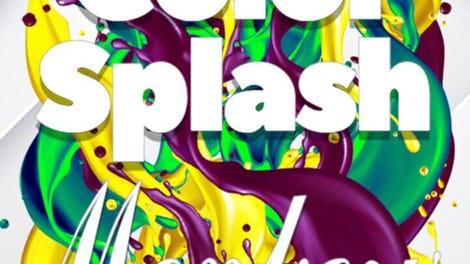 Color Splash: Monkeys
