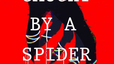 Caught by a Spider