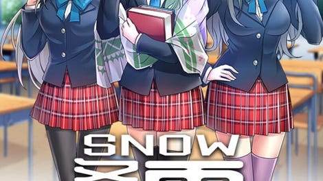 Winter Snow