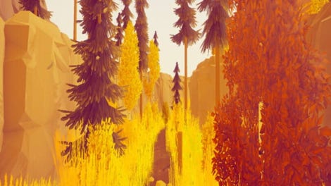Forest Mystery