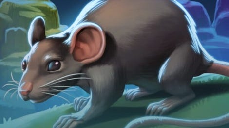 Rat Memory