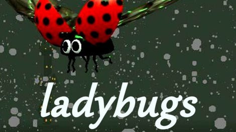 Ladybugs and Storm