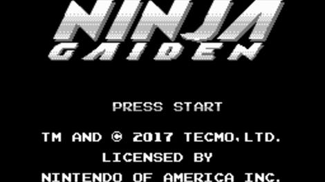 Ninja Gaiden: Dragon Scroll