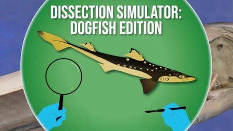 Dissection Simulator: Dogfish Edition