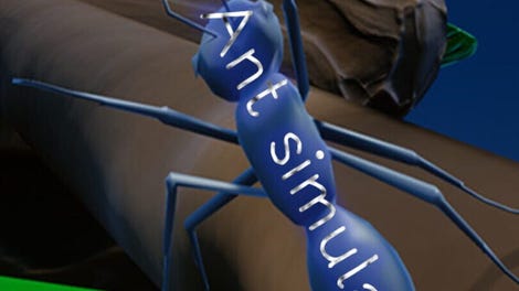 Ant Simulator