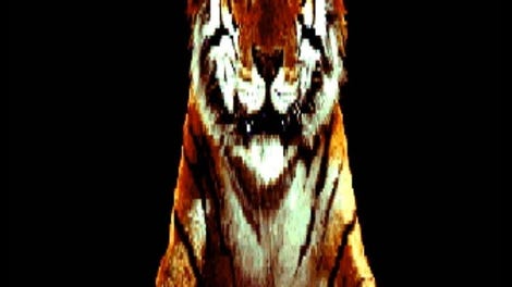 The Big Hunter