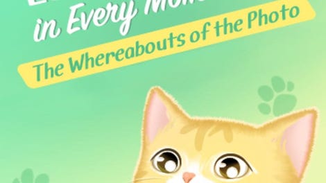 Lots of Cats in Every Moment: The Whereabouts of the Photo