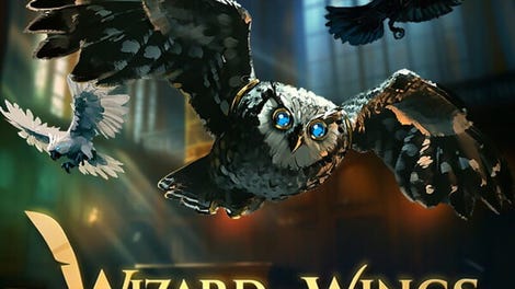 Wizard of Wings