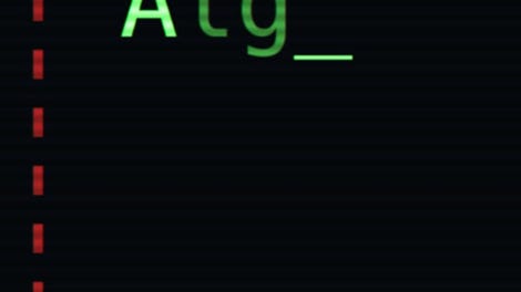 Markov Alg