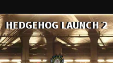 Hedgehog Launch 2 - Kotaku