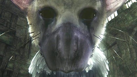 The Last Guardian VR