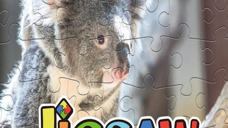 Jigsaw Master Kids