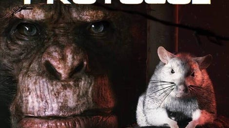 Animal Use Protocol